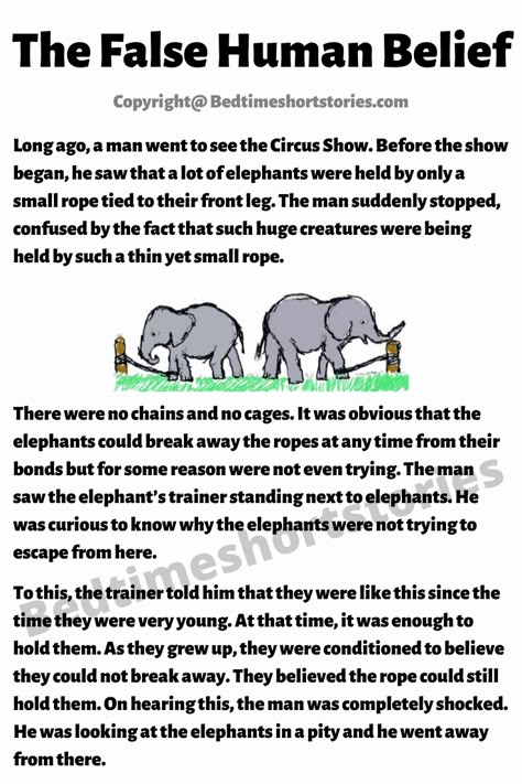 This is one of the best stories for storytelling competition with moral for children. Full story in link above, read now. Moral Stories Life Lessons, Inspirational Stories Motivation, Good Moral Stories, Stories With Moral Lessons, English Moral Stories, Motivational Short Stories, Short Moral Stories, Motivational Poems, Inspirational Short Stories