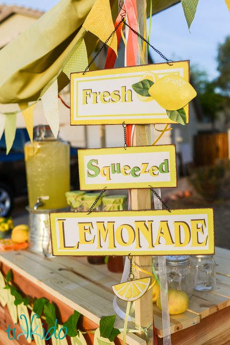 Lemonade Stand Party Ideas, Lemonade Vendor Booth, Lemonade Stand Aesthetic, Make A Lemonade Stand, Lemonade Menu, Lemon Stand, Lemonade Stand Sign, Diy Lemonade Stand, Stall Decorations