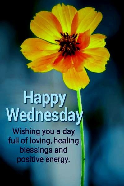 Happy Wednesday! Wishing you a day filled with positive vibes! 🌞 Wednesday Morning Images, Good Soul Quotes, Happy Wednesday Pictures, Wednesday Images, Wednesday Prayer, Hump Day Quotes, Happy Wednesday Images, Wednesday Wishes, Good Morning Happy Saturday