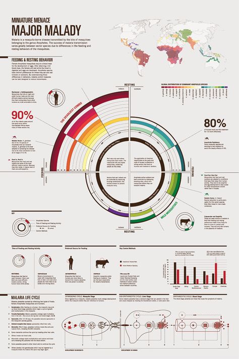 mala Malaria Infographic, Poster Conference, Infographic Posters, Scientific Poster Design, Academic Poster, Conference Ideas, Conference Poster, Scientific Poster, Infographic Layout