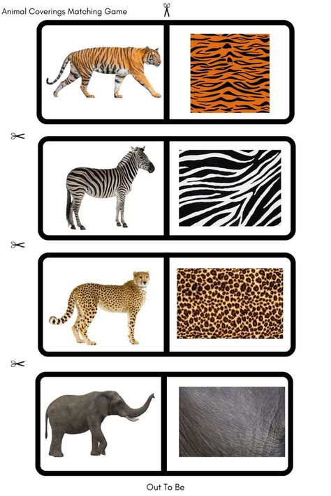 matching game Zoo Vocabulary Preschool, Wild Animals Montessori Activities, Zoo Animals Printables Free, Animal Skin Matching Free Printable, Safari Animal Prints Free Printable, Free Jungle Theme Printables, Wild Animal Art Preschool, Zoo Activities Preschool Free Printable, African Animals Activities For Kids