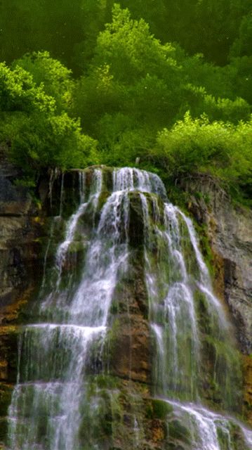 Waterfalls Gif, Rainbow Waterfall, Waterfall Photography, Water Falls, Beautiful Wallpapers Backgrounds, Nature Sounds, Cute Disney Wallpaper, Nature Plants, Beautiful Flowers Pictures