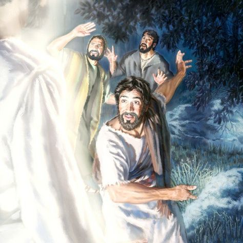 Transfiguration Of Jesus, Jesus Facts, The Transfiguration, Life Of Christ, Watch Tower, Jehovah's Witnesses, Online Library, Books Of The Bible, Bible Stories