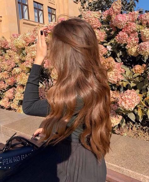 An honest review of hair extensions + hair extensions style and how to use clip in hair extensions #hairextensions #hairextensionsstyle Long Brown Hair, Hair Color Ideas, Hair Colour, Hair Colors, Hair Goals, New Hair, Hair And Makeup, Hair Nails, Brown Hair