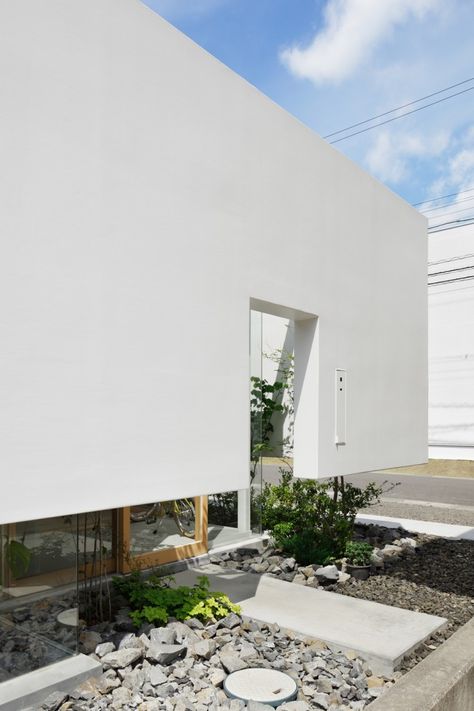 A secret garden brings light and greenery inside in a dense urban neighborhood in Fujieda. Houses Architecture, Casa Exterior, Japanese Architecture, Space Architecture, Japanese House, Architectural Inspiration, Residential Architecture, Japanese Garden, Contemporary Architecture