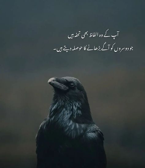 Empathy Quotes, Ramadan Photos, Motivational Quotes In Urdu, Jumma Mubarak Beautiful Images, Heart Touching Lines, Happy Girl Quotes, Soul Poetry, Iqbal Poetry, Shayari Urdu