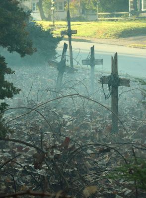 PUMPKINROT.COM: The Blog: Happy Halloween Haunted Trail Ideas, Scary Woods, Halloween Ideias, Halloween Train, Haunted Woods, Scary Halloween Decorations Outdoor, Fiesta Halloween, Haunted Hayride, Halloween Photo Booth