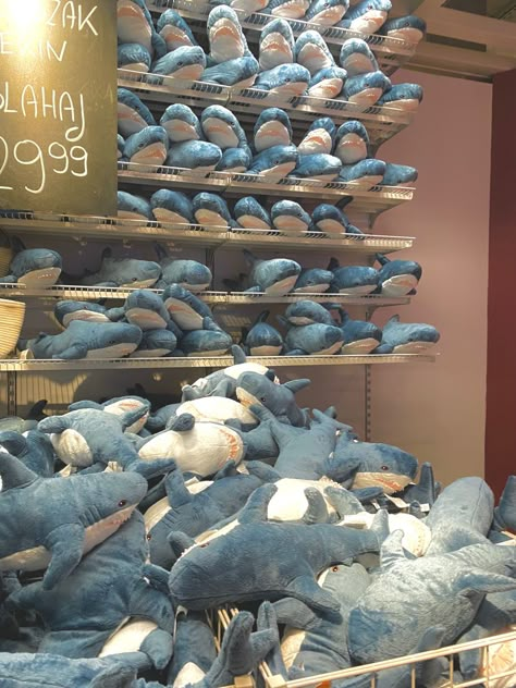 Ikea Shark, Shark Things, Silly Sharks, Shark Stuff, Shark Pictures, Shark Plush, Cute Shark, Marine Biology, Marine Animals