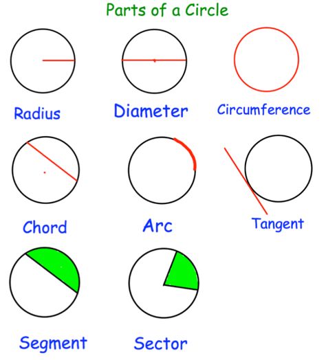 Parts Of A Circle, Gcse Maths Revision, Math Formula Chart, Struktur Teks, Teaching Math Strategies, Math Charts, Learning Mathematics, Circle Math, Math Tutorials