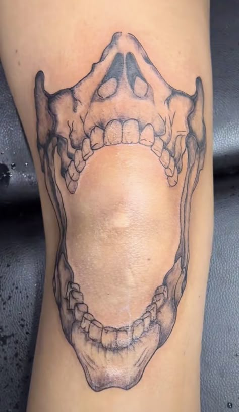 Jaw Bone Tattoo Knee, Skeleton Jaw Knee Tattoo, Skeleton Jaw Tattoo, Dog Jaw Bone Tattoo, Human Jaw Tattoo, Knee Jaw Tattoo, Teeth Around Knee Tattoo, Skull Jaw Tattoo, Teeth Knee Tattoo