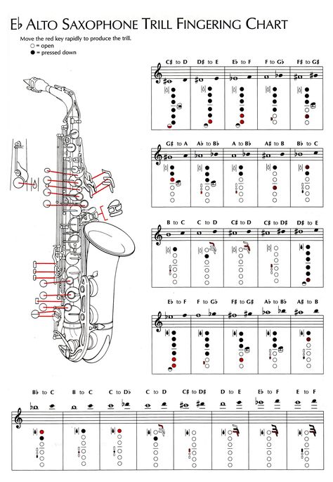 buffet sax finger chart free | Alto Saxophone Keys Chart Instrument fingering charts ... Bari Sax Sheet Music, Alto Saxophone Fingering Chart, Saxophone Notes, Alto Saxophone Music, Saxophone Fingering Chart, Bari Sax, Alto Sax Sheet Music, Sax Music, Popular Piano Sheet Music