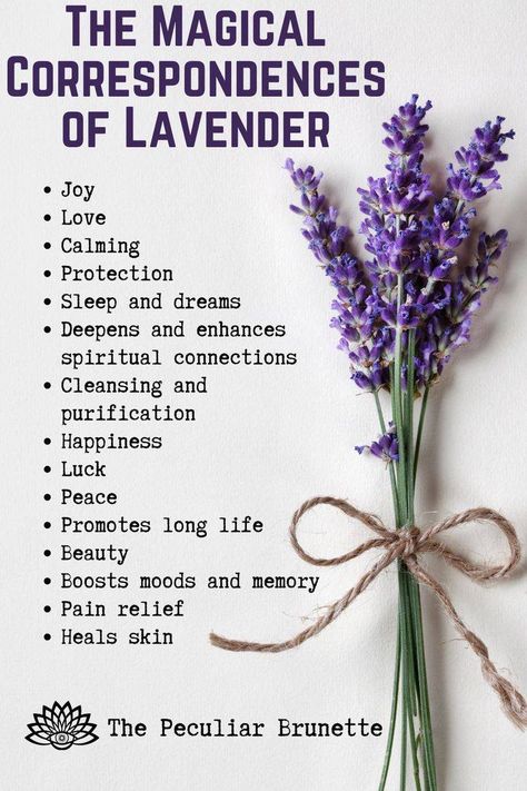 Lavender Properties Magic, Magic Properties Of Lavender, Lavender Magical Uses, Dried Lavender Uses Witch, Lavender Healing Properties, Herb Magical Properties List, Lavender Correspondences, Magical Properties Of Lavender, Bergamot Magical Properties