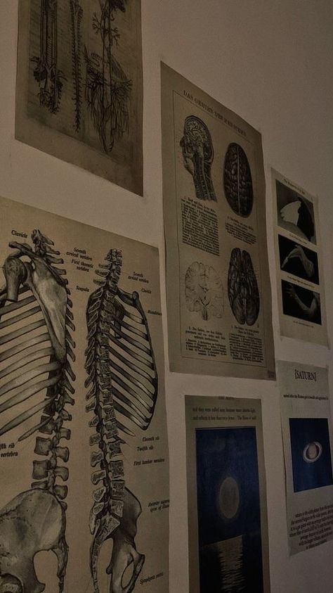 Medicine Poster Aesthetic, Med School Aesthetic Wallpaper Ipad, Osteology Aesthetic, Vintage Medical Aesthetic, Medical Aesthetic Dark, Med Student Room, Anatomy Wallpaper Aesthetic, Medical Aesthetic Wallpaper, Nurse Aesthetic Wallpaper