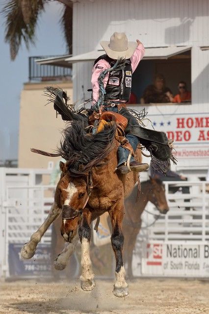 Saddle Bronc Riding, Saddle Bronc, Bronc Riding, Rodeo Time, Rodeo Events, Cowboy Pictures, Rodeo Cowboys, Bucking Bronco, Real Cowboys