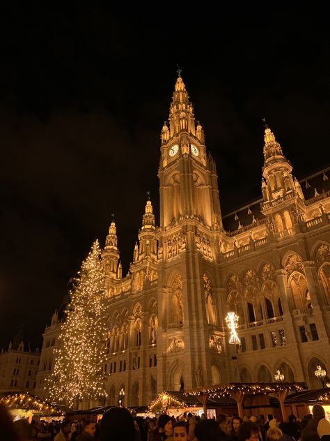 #vienna #rathaus #christmasmarket #christmas #christmasaesthetic #winter Vienna Austria In Winter, Vienna During Christmas, Vienna During Winter, Vienna New Years Eve, Vienna At Christmas, Vienna Winter Aesthetic, Vienna Christmas Aesthetic, Vienna Austria Christmas, Vienna December