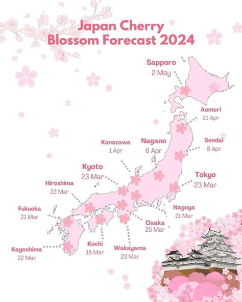 Japan Cherry Blossom Forecast 2024 Japan Honeymoon, Japan Bucket List, Spring In Japan, Japan Cherry Blossom, Dream Country, Cherry Blossom Japan, Japanese Language Lessons, Tokyo Japan Travel, Cherry Blossom Art