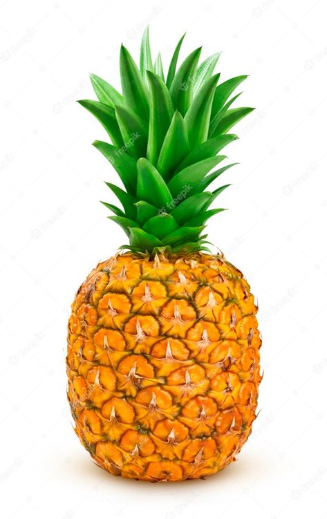 Picture Of Pineapple, Fruits Pictures, Pineapple Pictures, Pineapple Photo, Fruit Images, Fruit Pictures, Pine Apple, Fruit Pineapple, Ripe Pineapple