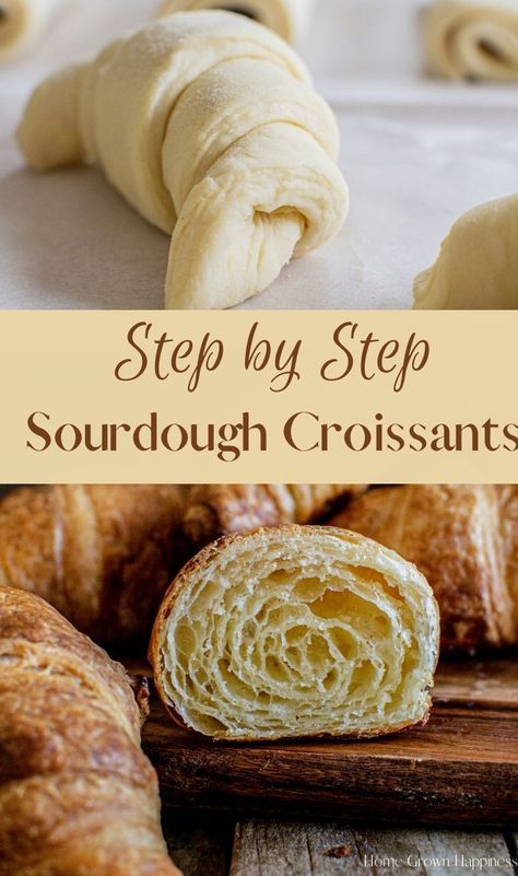 Jun 29, 2020 - Step by step easy sourdough croissants, perfect for sourdough enthusiasts. The end results are buttery, flaky pastries, sure to impress. Sourdough Croissant, Sourdough Croissants, Recipe Using Sourdough Starter, Sourdough Bread Starter, Homemade Croissants, Butter Croissant, Dough Starter, Sourdough Starter Discard Recipe, Easy Sourdough