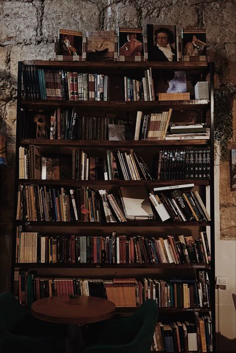 Dark Academia Bookshelf, Dark Bookshelves, Bookshelves Aesthetic, Aesthetic Bookshelves, Classic Bookshelves, Aesthetic Bookshelf, Old Bookshelves, Bookshelf Aesthetic, Lots Of Books