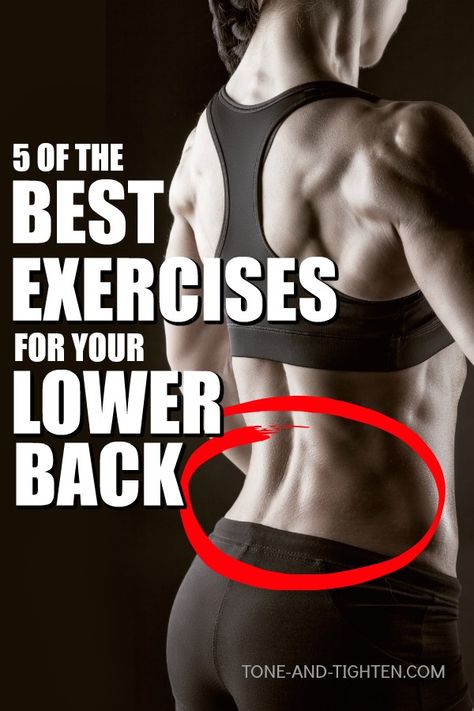 5 of the best at home exercises to strengthen and tone your lower back. Best Lower Back Exercises, Hypertrophy Workout, Lower Back Strengthening, Beachbody Workout, Back Strengthening Exercises, Back Toning, Lower Back Muscles, Lower Back Pain Exercises, Bodyweight Exercises