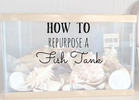 Repurposed Fish Tank Repurpose Fish Tank, Old Fish Tank Ideas, Repurposed Fish Tank, Shabby Chic Living Room Ideas, Chic Living Room Ideas, Recycled Containers, Crate Side Table, Shabby Chic Salon, Large Terrarium