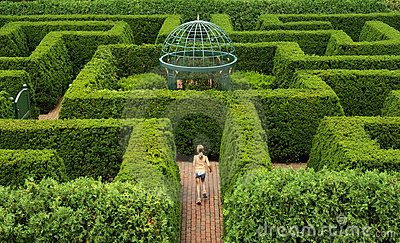 for my carosel Maze Garden, Hedge Maze, Labyrinth Garden, Garden Maze, Labyrinth Maze, Labyrinth Design, Maze Design, Come Find Me, Bg Design