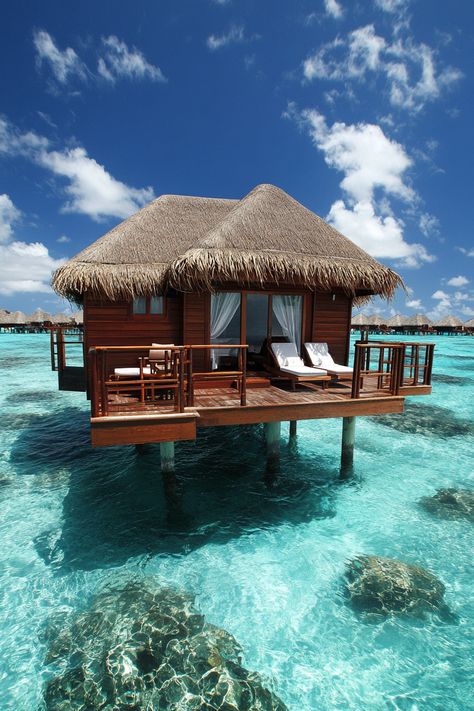 "🌴💞 Dive into tropical romance in Bora Bora with our Pinterest Carousel! Enjoy overwater bungalows, crystal-clear waters, and dreamy sunsets. 🌅🏝️ #BoraBoraRomance #TropicalParadise #DreamVacation" Bungalow Resorts, Bora Bora Island, Water Bungalow, Dream Proposal, Overwater Bungalows, Island Vacation, French Polynesia, Crystal Clear Water, Tropical Islands