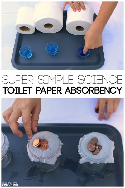 Simple Kids' Science Experiment. Test Toilet Paper Absorbency. Absorption Science Experiment, Water Testing Science Fair Project, Simple Science Fair Projects, Paper Experiments, Kids Science Experiment, Simple Toilet, Fun Experiments, Science Fair Ideas, Science Camp