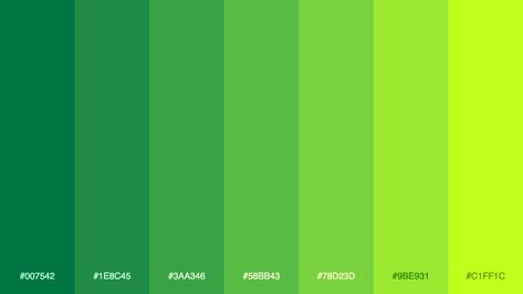 Palitra on Twitter: "Generated palette #colors #palette #gradient #palitra… " Green Shades Colour Palettes, Color Pallets Green, Color Green Palette, Green Palette Colour Schemes, Color Pallete Green, Shades Of Green Color Palette, Neon Green Color Palette, Green Colour Shades, Green Colour Pallet