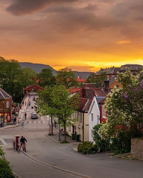 Trondheim Norway, Italy Vibes, Sweden Travel, Visit Norway, Norway Travel, Trondheim, European Tour, Dream City, Walk In The Woods