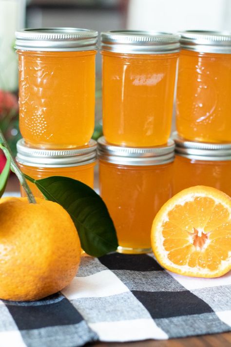 This flavorful homemade Satsuma Jelly recipe makes the perfect sweet and tangy citrus condiment perfect to serve with biscuits, toast, crackers, and a variety of foods. Canning Satsuma Oranges, Satsuma Pepper Jelly Recipe, Satsuma Marmalade Recipes, Satsuma Jelly Recipes, Satsuma Jam Recipe, Satsuma Jelly, Orange Pepper Jelly, Vegan Canning, Orange Jelly Recipe