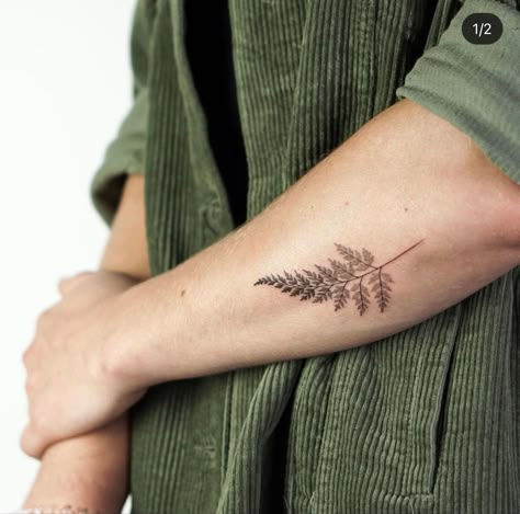 Fern Plant Tattoo, Dainty Fern Tattoo, Silver Fern Tattoo, Botanisches Tattoo, Cool Nature Tattoos, Fern Tattoo, Autumn Tattoo, Cool Nature, Forest Tattoos