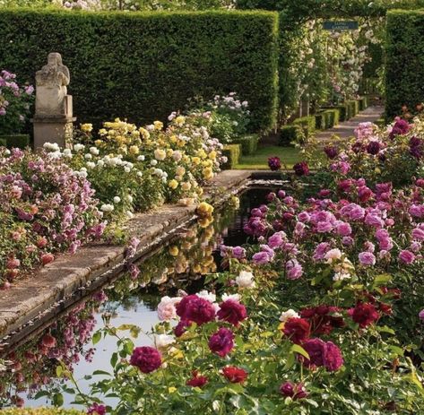 Core Aesthetics, Aesthetic Image, Formal Garden, Grey Gardens, David Austin Roses, Garden Cottage, English Garden, Nature Aesthetic, Flowers Nature