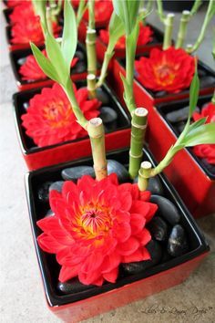 Japanese Centerpiece Ideas on Pinterest | 36 Images on proverbs, diy … Asian Centerpieces, Bamboo Centerpieces, Cny Craft, Diy Flower Projects, Arreglos Ikebana, Chinese Party, Japanese Party, Asian Party, Tet Holiday