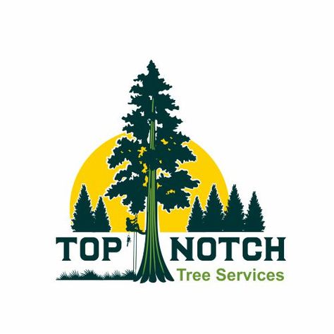 Tree services Logo Design required #AD, #services, #AD, #Tree, #Logo, #required Tree Service Logo Ideas, Tree Service Logo, Services Logo Design, Tree Removal Service, Tree Removal, Tree Logo, Tree Service, Service Logo, Tree Trimming