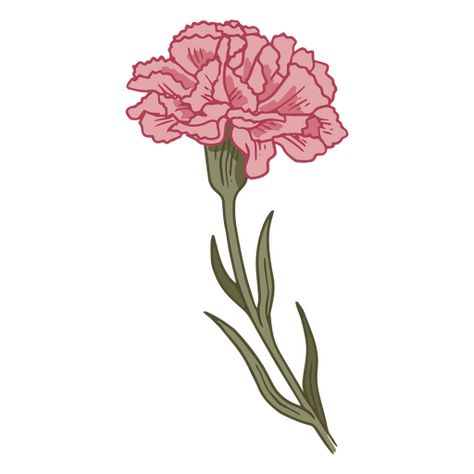 Pink carnation illustration PNG Design Pink Carnation Drawing, Red Carnation Drawing, Carnation Doodle, Carnations Illustration, Carnation Flower Illustration, Carnation Illustration, Pink Flower Illustration, Carnation Drawing, Carnation Design