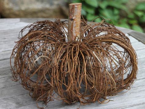 How to Craft a Pumpkin from Grapevine Wreaths | HGTV Grape Vine Crafts, Vine Crafts, Grapevine Ideas, Grapevine Crafts, Honeysuckle Vines, Diy Grapevine Wreath, Grapevine Pumpkin, Twig Crafts, Fall Leaf Wreaths