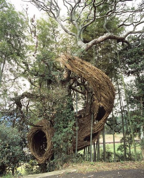 Organic Art, Earth Art, Outdoor Sculpture, Sculpture Installation, Outdoor Art, Land Art, Environmental Art, Tree Art, Land Scape