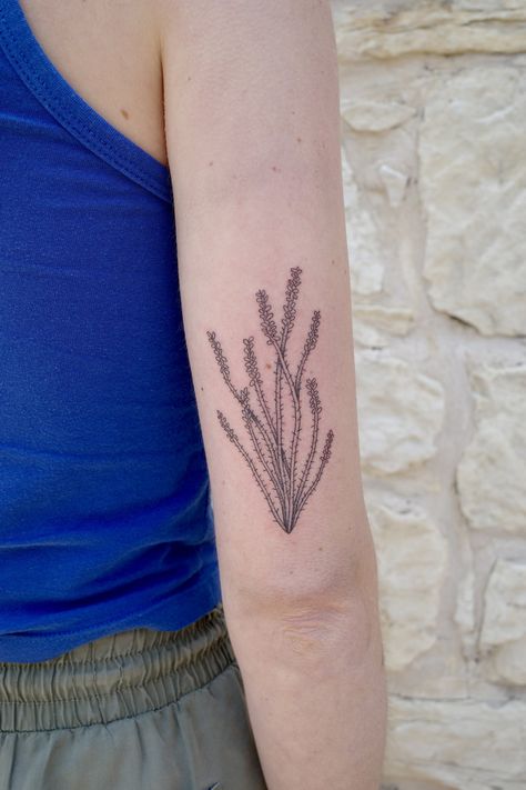 NATTYTOOS Longhorn Tattoo Under Knee, Fine Line Arizona Tattoo, Big Bend Tattoo, Ocotillo Tattoo, Desert Wildflower Tattoo, Idaho Wildflowers Tattoo, Big Bend, Couple Tattoos, Mini Tattoos