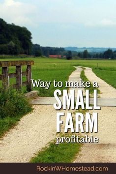 Many people with a pioneering spirit are looking for ways to live on their land and make their small farm profitable. You can make money on your homestead, but you have to be willing to work. | Rockin W Homestead Homestead Family, Cracker House, Starting A Farm, Modern Homesteading, Farm Plans, Farm Layout, Homesteading Ideas, Homestead Farm, Future Farms