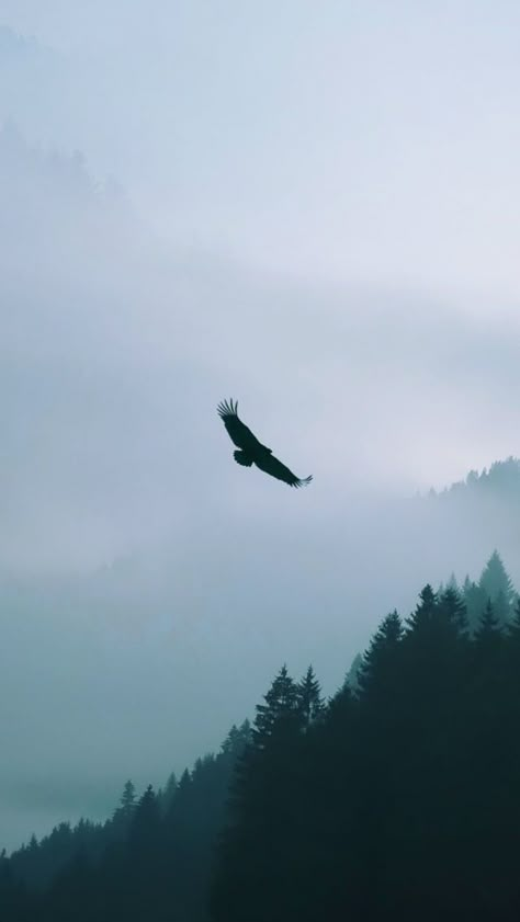 Htc Wallpaper, Ichigo Kurosaki Wallpaper, Eagle Flying, Ravenclaw Aesthetic, Eagle Wallpaper, Eagle Mountain, Beautiful Scenery Pictures, Mountain Wallpaper, Wallpaper For Iphone