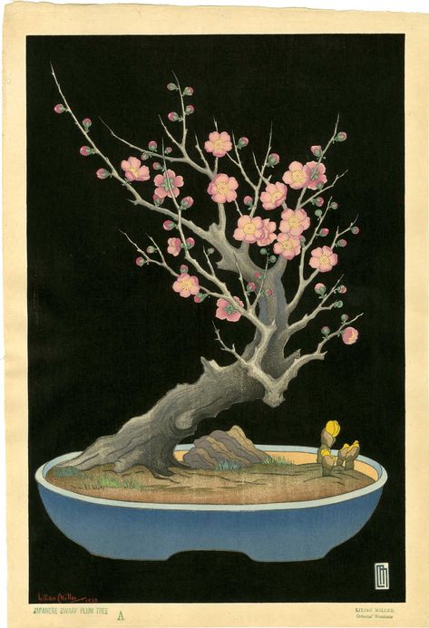 Art Book Ideas, Lino Cuts, Art Printmaking, Plum Tree, Japanese Print, American Painting, Art Resources, Japanese Woodblock, Art People