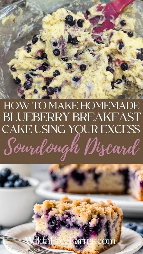 sourdough discard blueberry coffee cake Sourdough Discard Breakfast, Sourdough Discard Blueberry, Skillet Eggs, Avocado Sandwiches, Using Sourdough Discard, Everything Sourdough, Using Sourdough Starter, Recipe Using Sourdough Starter, Blueberry Breakfast Cake