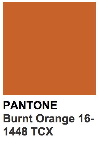 Burnt Orange Paint, Pantone Orange, Orange Paint Colors, Pantone Tcx, Orange Color Palettes, Pantone Colour Palettes, Door Colors, Orange House, Orange Paint