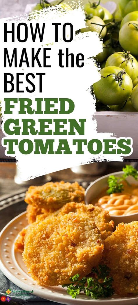 Fried Green Tomatoes Recipe Easy, Best Fried Green Tomatoes, Fried Green Tomatoes Recipe, Green Tomato Recipes, Fried Tomatoes, Tomatoes Recipe, Homemade Cornbread, Fried Green, Fried Green Tomatoes