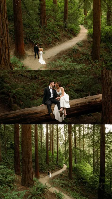 Hoyt Arboretum Wedding, Deck Wedding, Redwood Deck, Hoyt Arboretum, Redwood Forest Wedding, Forest Engagement Photos, Tree Deck, Arboretum Wedding, Redwood Wedding