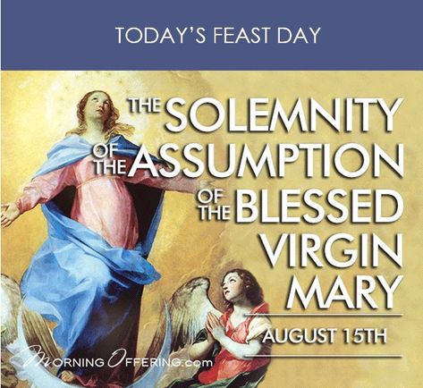 The Solemnity of the Assumption of the Blessed Virgin Mary. (August 15th) Morning Offering, Assumption Of Mary, Catholic Company, Blessed Mary, The Blessed Virgin Mary, Mama Mary, Good Morning Image Quotes, Mary I, Holy Mary