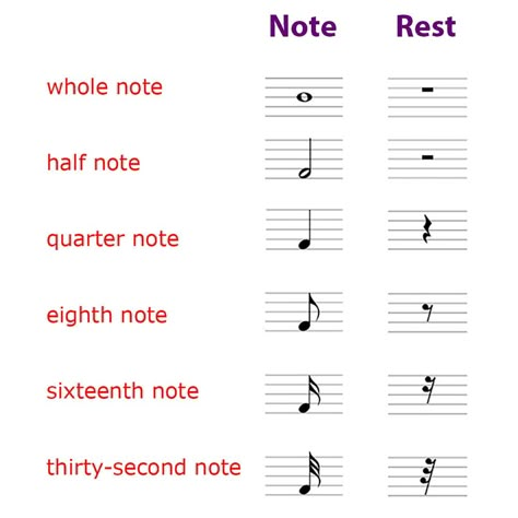 Whole Note, Half Note, Quarter Note, Eighth Note, and corresponding rRest symbols Whole Note Half Note Quarter Note, Quarter Rest Music Note, Music Note Meanings, Music Notes Meaning, Piano Symbols And Meanings, Quarter Note Symbol, Piano Symbols, Note Symbols, Rest Note