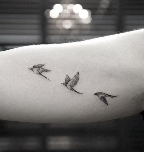 Small flying birds tattoo for girl - 110 Lovely Bird Tattoo Designs White Bird Tattoos, Swallow Bird Tattoos, Bird Tattoos Arm, Little Bird Tattoos, Tiny Bird Tattoos, Bird Tattoos For Women, Vogel Tattoo, Bird Tattoo Wrist, Flying Bird Tattoo