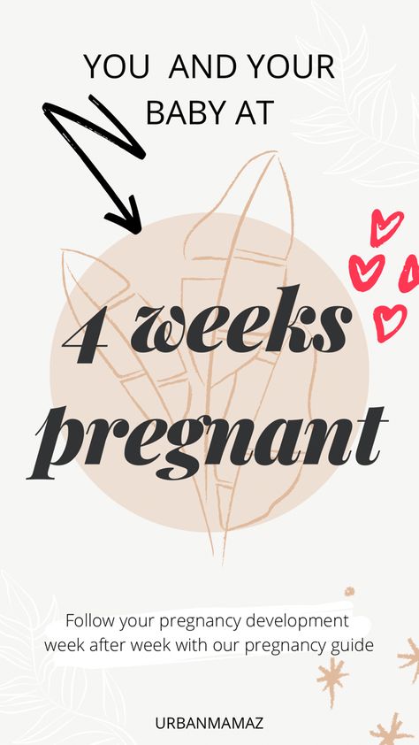 4 weeks pregnant Pregnancy Guide Week By Week, 4 Weeks Pregnant Symptoms, 4weeks Pregnant, Baby At 4 Weeks, Four Weeks Pregnant, Pregnant After 40, Bland Foods, Pregnancy Development, Pregnancy After 40